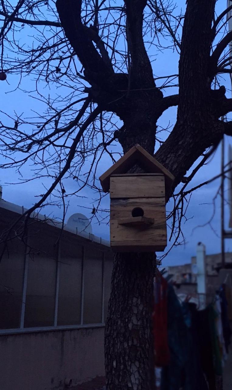 Birdhouse Rooms Tbilisi Exteriér fotografie